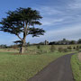 2 miles: Croome Court - 8th February