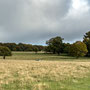 13th October AM: Felbrigg House and parkland