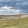 1th Sept AM: Holy Island / Lindisfarne - walk around island