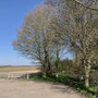 4.27 miles: Start of trail up to Shorthorn Woods -25th March