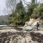 24th March AM: NT Trelissick riverside walk & gardens