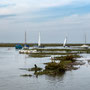 Sun 22nd Sept am: Morston Quay to Blakeney - flood tide over the marshes