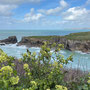 26th March PM: Port Gaverne 