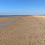 10th March am: Brancaster Beach eastwards towards Norton Creek