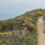 23rd March PM: Coast walk towards Mother Ivy's Bay