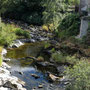 The Severn (upstream) at Llandiloes.