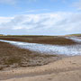 Thurs 26th Sept am: walk along Holkham beach towards Burnham Overy Staithe