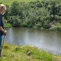 9th June - pm: circular walk from St Abbs visitor centre to St Abb's Head 