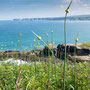8th June: (am)  Port Gaverne