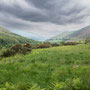7th June - pm: College Valet walk in the Cheviot Hills