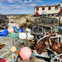 12th Sept PM: St Abbs - walk around harbour