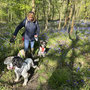 April 20th: Tiddersley Woods - 2.54 miles