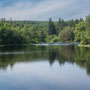 June 9th PM - Galloway Forest Park; Bruntis Loch, Kirroughtree