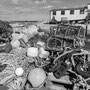 12th Sept PM: St Abbs - walk around harbour