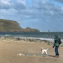 25th March AM: Padstow walk along the Camel estuary