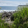 Coverack, coast path east