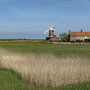 29th April AM: Norfolk Wildlife Trust – Cley and Salthouse Marshes visitor centre walk to Cley beach and back