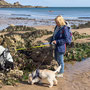 12th Sept AM: Coldingham Bay 