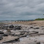 5th June - pm: walk from Alnmouth towards Boulmer (and back)