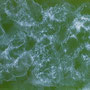 No.L-2