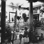 Callejón de Córdoba