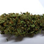 vecchia hemp cheesy