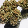 orange buds