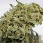 CBD flower Biancaneve