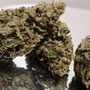 dettaglio ara lemon cbd