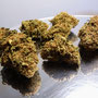 wild rock cbd
