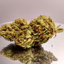 alextra cbd cbc