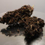 purple hemp sweet 