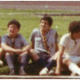 La Lobos