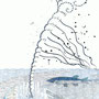 "Tornado", Zeichnung Elena P. Knoll 2013 ©
