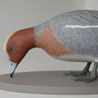 Canard siffleur (Mareca penelope-eurasian wigeon)-sculpture peinte taille x1-LPO-RN de St Denis du Payre