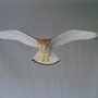 Faucon-crécerelle (Falco tinnunculus) - sculpture  taille x 1 - maison de Broue