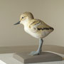 jeune Avocette élégante (Recurvirostra avosetta) - sculpture taille x 1 - Daviaud