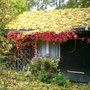 Herbst mit bunten Farben