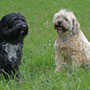 Arabella und Yossie