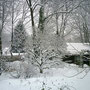 Unser Garten, ein Schneeparadies