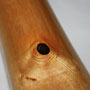 Didgeridoo Birke