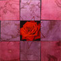 「薔薇圖 ... レッドの余白」　4号S(33.3×33.3cm)／油彩、虹彩箔(レッド、ローズ)、キャンバス、パネル
