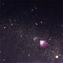 「Star Diagrm ... The Black Blank」／10号S(53.0×53.0cm)／油彩、金箔、銀箔、プラチナ箔、アルミ箔、黒箔、キャンバス、パネル