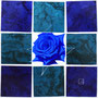 「薔薇圖 ... ブルーの余白」　4号S(33.3×33.3cm)／油彩、虹彩箔（ブルーロワーズ、ブルーカナール）、キャンバス、パネル