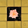 「薔薇圖 ... 白とピンクの余白」　4号S(33.3×33.3cm)　油彩画、金箔
