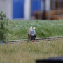 ...zum Abschied (TT Club Bayern)