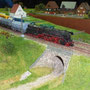 BR44 mit Ihren Kalkkübelwagen 