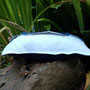Blaues Kissen von der Seite