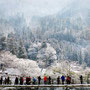 雪化粧　（岐阜県・白川郷）