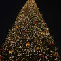 Christmas Tree am Union Square